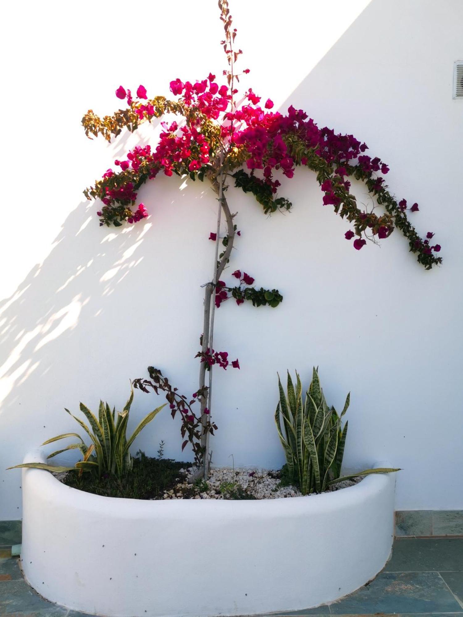 Holiday home Olas De Conil *